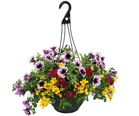 hanging flower basket png